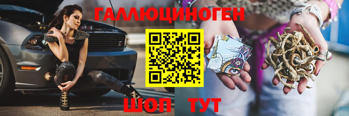 Галлюциногенные грибы Psilocybine cubensis Кузнецк