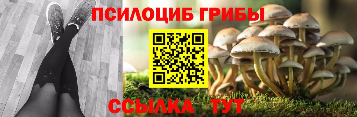 Кузнецк  Галлюциногенные грибы мицелий  Галлюциногенные грибы GOLDEN TEACHER  Вход с VPN 